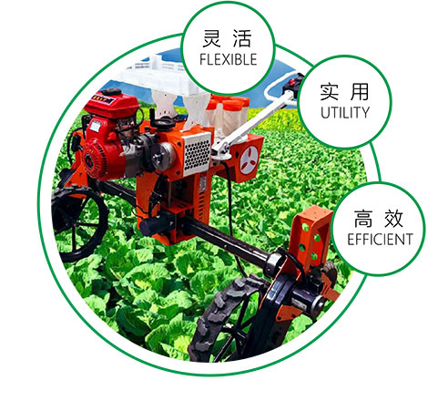 垂直移栽 存活率高